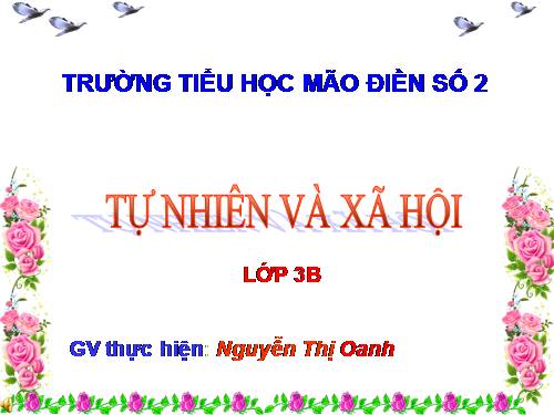 Bài 24. Một số hoạt động ở trường