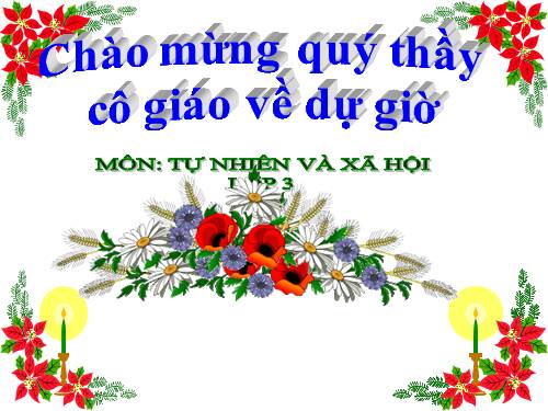 Bài 26. Không chơi các trò chơi nguy hiểm