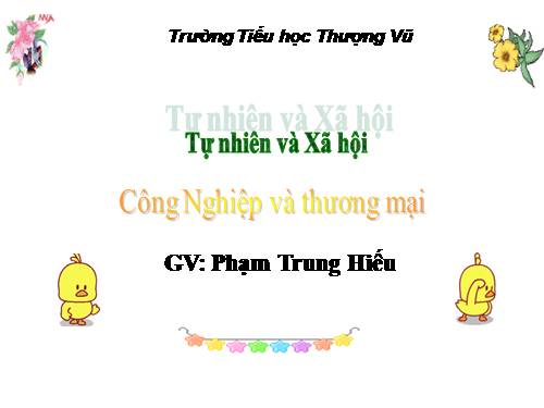 Bài 31. Hoạt động công nghiệp, thương mại