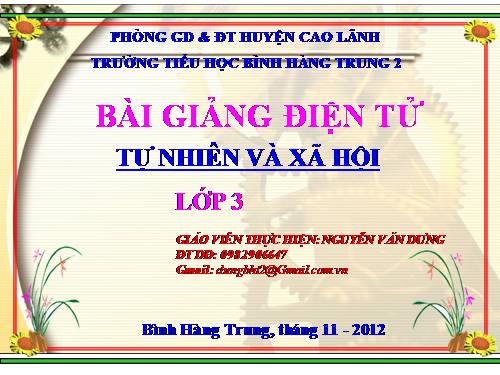 Bài 24. Một số hoạt động ở trường