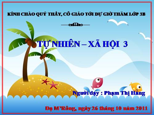 Bài 19. Các thế hệ trong một gia đình