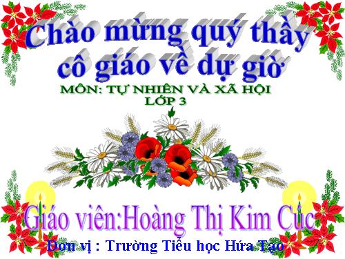 Bài 26. Không chơi các trò chơi nguy hiểm