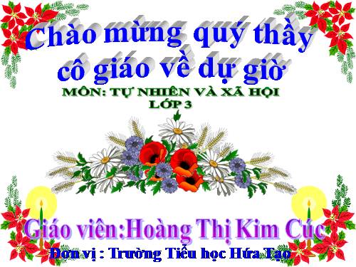 Bài 26. Không chơi các trò chơi nguy hiểm