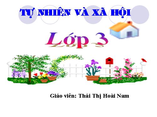 Bài 23. Phòng cháy khi ở nhà