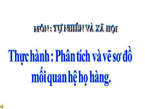 Bài 21-22. Thực hành: Phân tích và vẽ sơ đồ mối quan hệ họ hàng