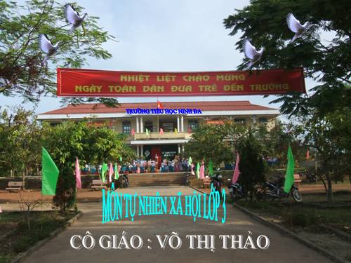 Bài 23. Phòng cháy khi ở nhà