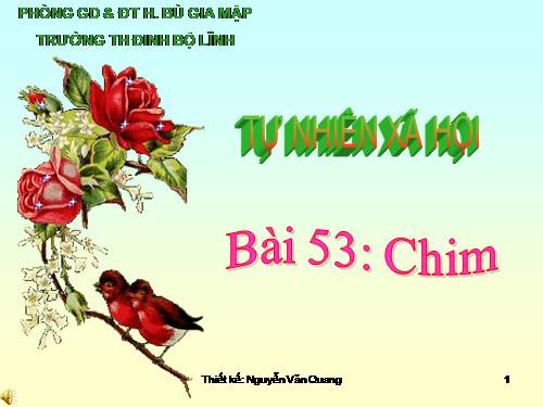 Bài 53. Chim