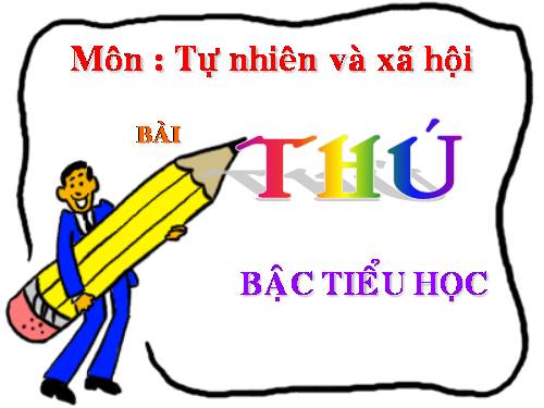 Bài 54. Thú