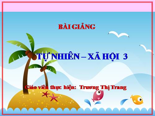 Bài 19. Các thế hệ trong một gia đình