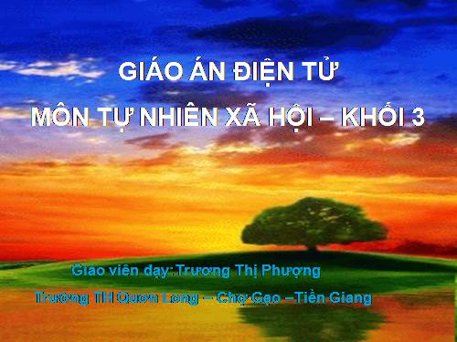 Bài 24. Một số hoạt động ở trường