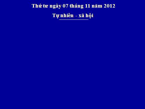 Bài 19. Các thế hệ trong một gia đình