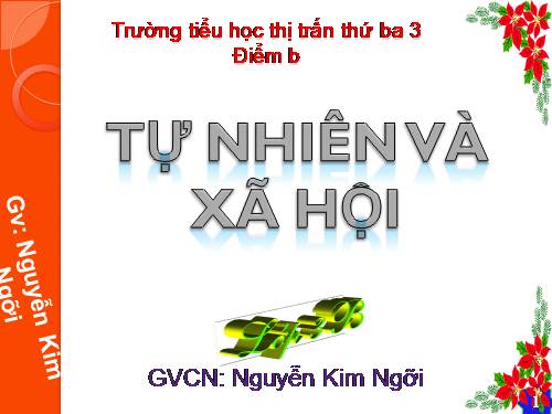 Bài 19. Các thế hệ trong một gia đình