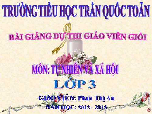 Bài 33. An toàn khi đi xe đạp