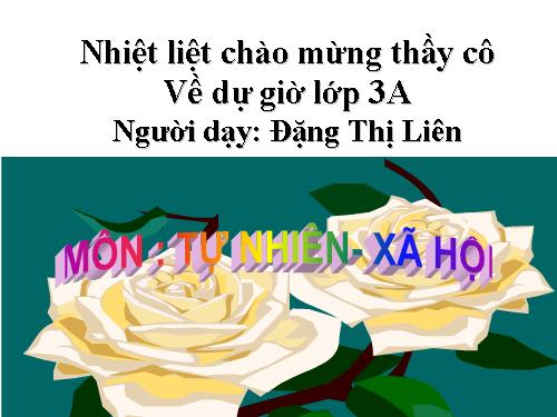 Bài 33. An toàn khi đi xe đạp