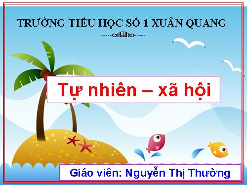 Bài 19. Các thế hệ trong một gia đình