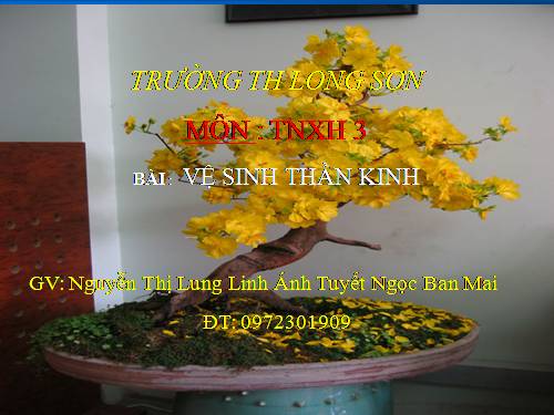 Bài 15. Vệ sinh thần kinh