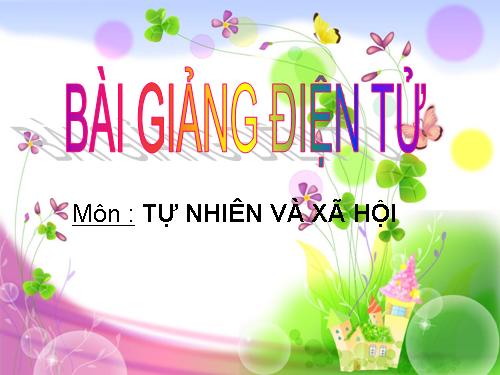 Bài 6. Máu và cơ quan tuần hoàn