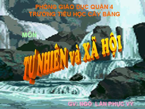 Bài 20. Họ nội, họ ngoại