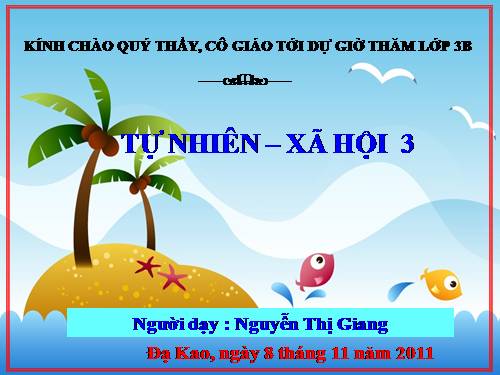 Bài 19. Các thế hệ trong một gia đình