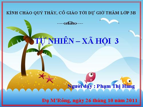 Bài 19. Các thế hệ trong một gia đình