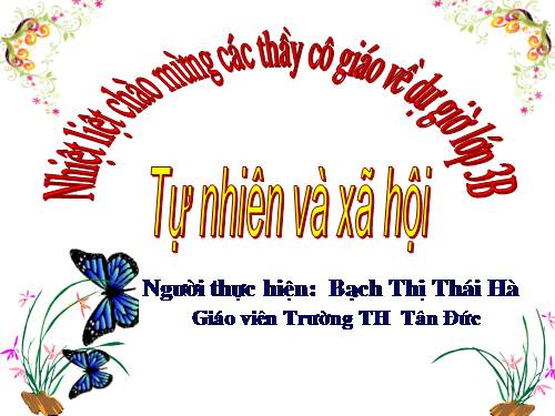 Bài 68. Bề mặt lục địa (tiếp theo)