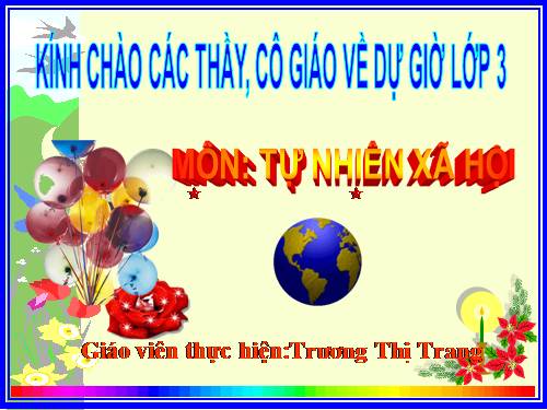 Bài 12. Cơ quan thần kinh