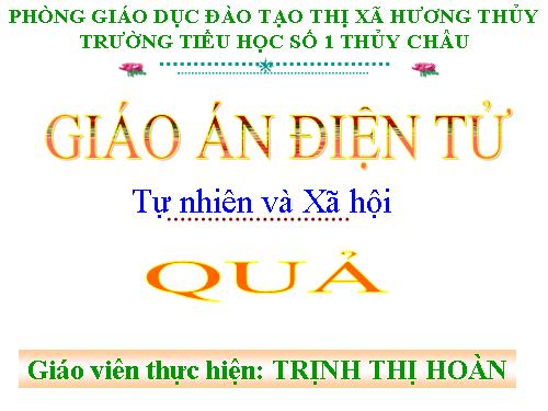 Bài 48. Quả