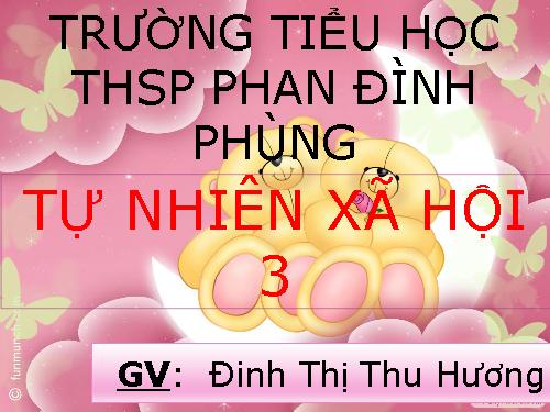 Bài 14. Hoạt động thần kinh (tiếp theo)