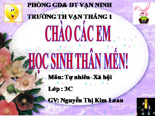 Bài 15. Vệ sinh thần kinh