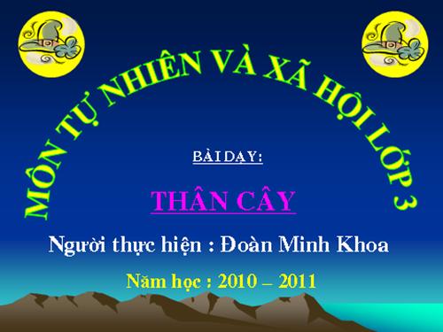 Bài 41. Thân cây