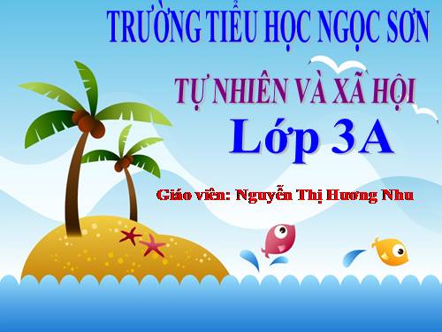 Bài 10. Hoạt động bài tiết nước tiểu