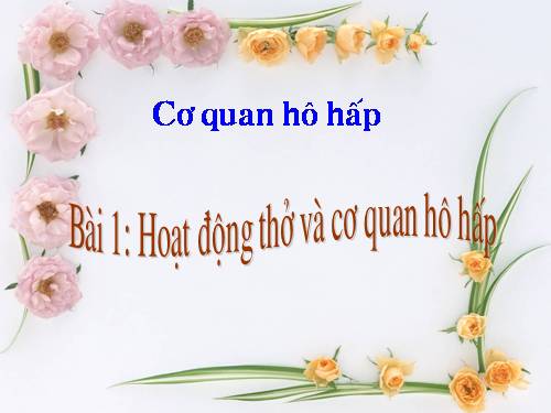 Bài 1. Hoạt động thở và cơ quan hô hấp