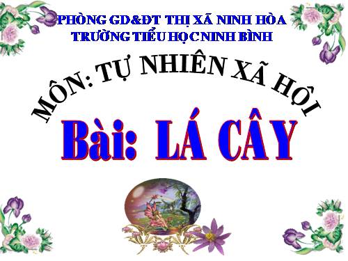 Bài 45. Lá cây