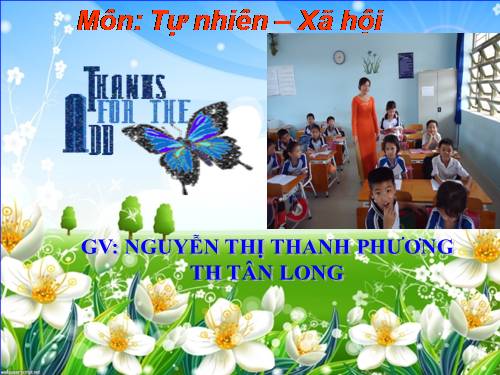 Bài 59. Trái Đất. Quả địa cầu