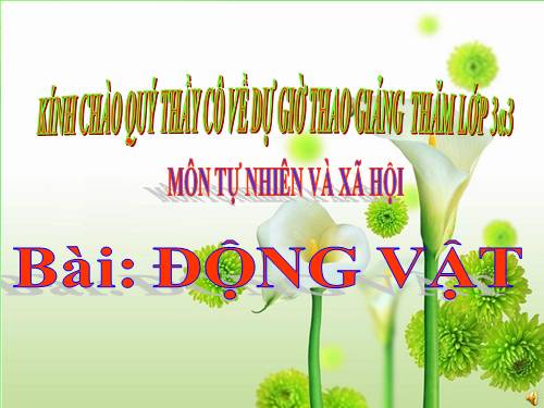 Bài 49. Động vật