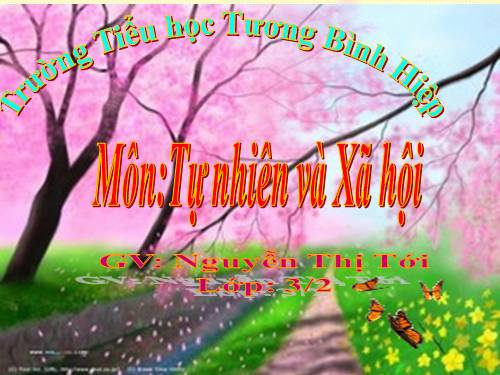 Bài 36. Vệ sinh môi trường