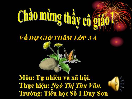 Bài 50. Côn trùng