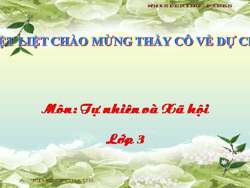 Bài 10. Hoạt động bài tiết nước tiểu