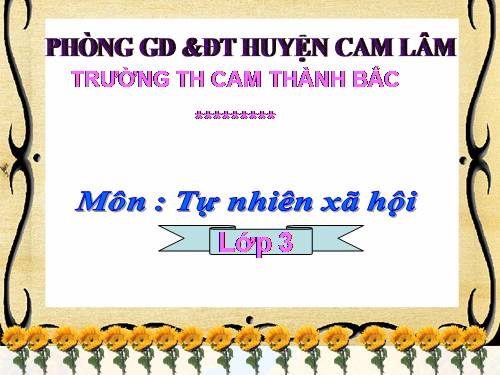 Bài 44. Rễ cây (tiếp theo)