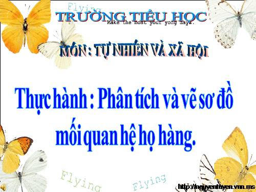 Bài 21-22. Thực hành: Phân tích và vẽ sơ đồ mối quan hệ họ hàng