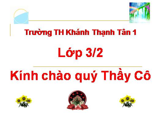 Bài 33. An toàn khi đi xe đạp