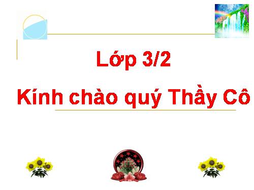 Bài 33. An toàn khi đi xe đạp