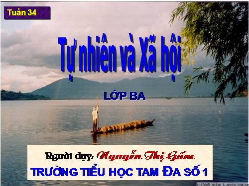 Bài 67. Bề mặt lục địa