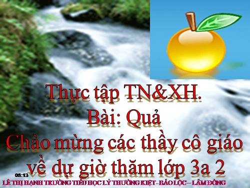 Bài 48. Quả