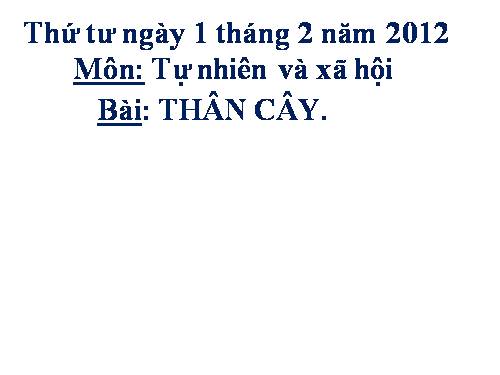 Bài 41. Thân cây