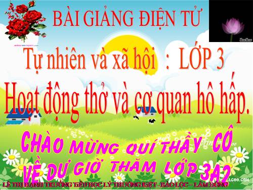 Bài 1. Hoạt động thở và cơ quan hô hấp