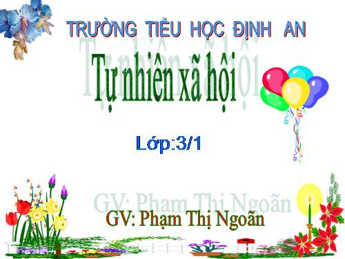 Bài 20. Họ nội, họ ngoại