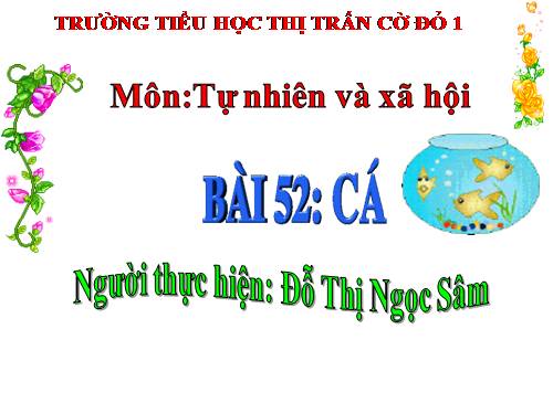 Bài 52. Cá