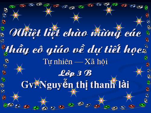 Bài 19. Các thế hệ trong một gia đình