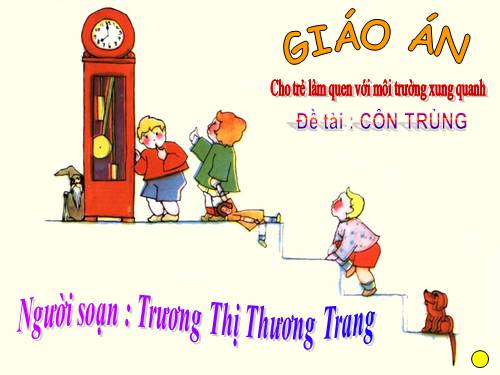 Bài 50. Côn trùng